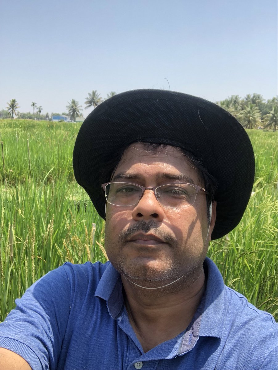 The diverse core set panel will be a useful genetic resource for allele mining of biotic and abiotic traits as well as managing the genetic diversity of the coastal rice collection.
