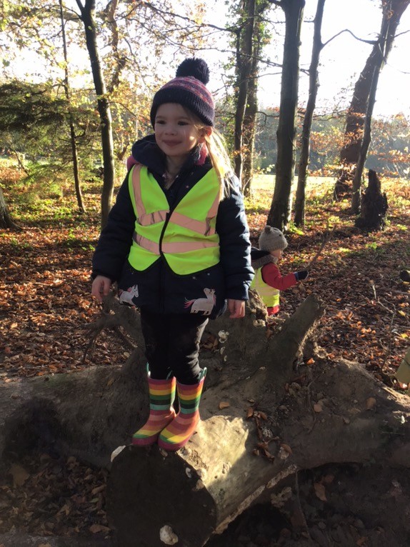 Bright Horizons Fair oak tweet media