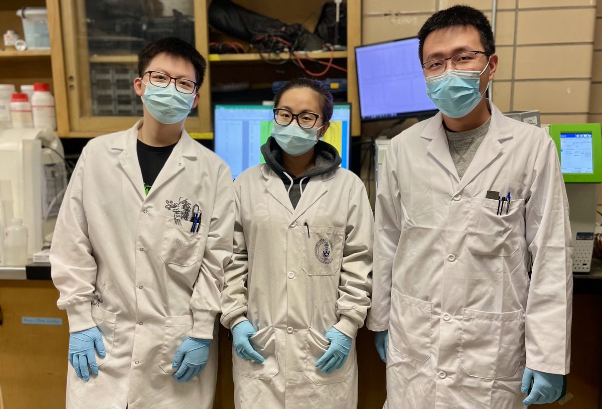 UofTEngineering's tweet photo. After receiving a $250,000 award from @elonmusk's @xprize, the team of #UofTEngineering students responsible for @equesterdac is looking towards a greener future 🌎♻️ (via @NatObserver): https://t.co/zOhFZ498D7 https://t.co/mqGTOftDVV