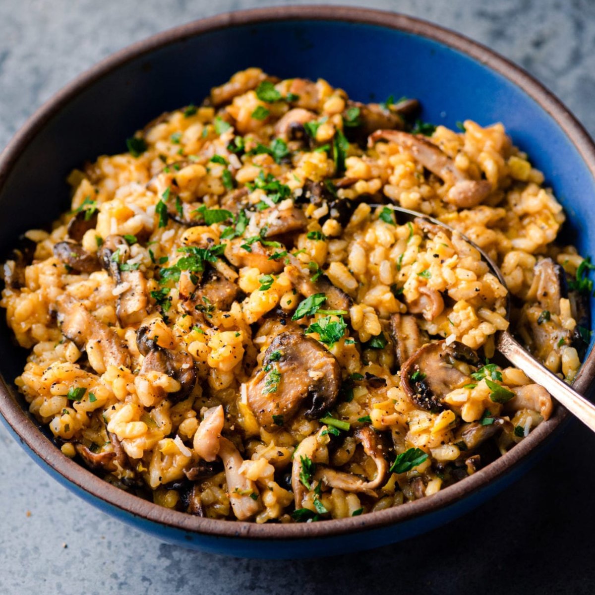 Seed Cafe tweet media