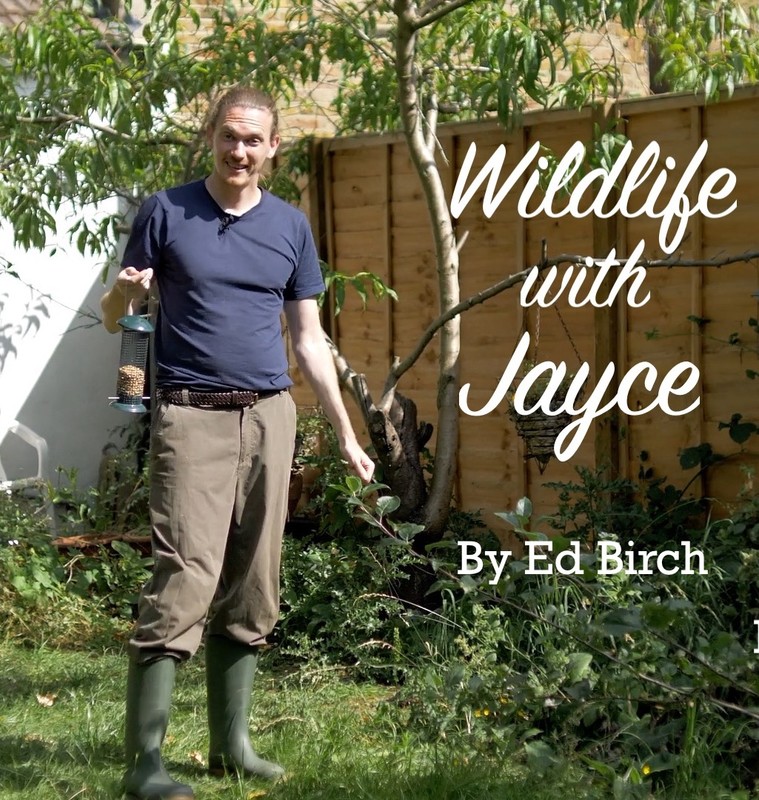 Ed Birch on X: My comedy short WILDLIFE WITH JAYCE was a semi