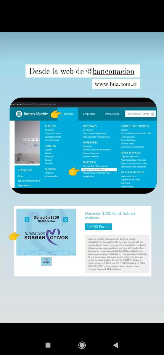 Canjea tus puntos del banco y ayuda al refugio de la fundación sobran motivos