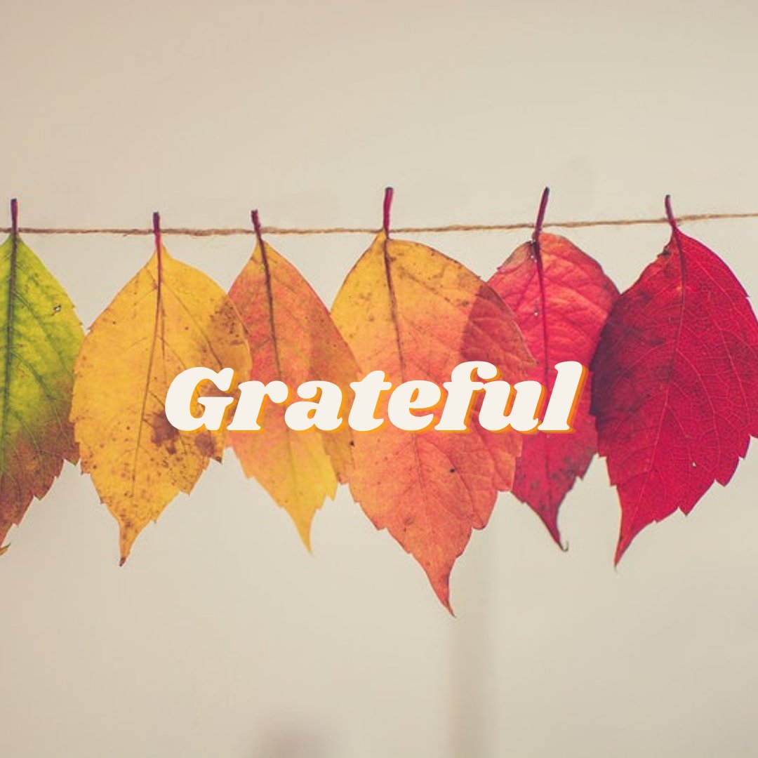 We are deeply thankful for the opportunity to gather with our loved ones today. Alongside this, today we also acknowledge indigenous history, traditions, and knowledge. As these 2 truths live beside each other, we here at ASP wish you warmth, connection, and a restful holiday.