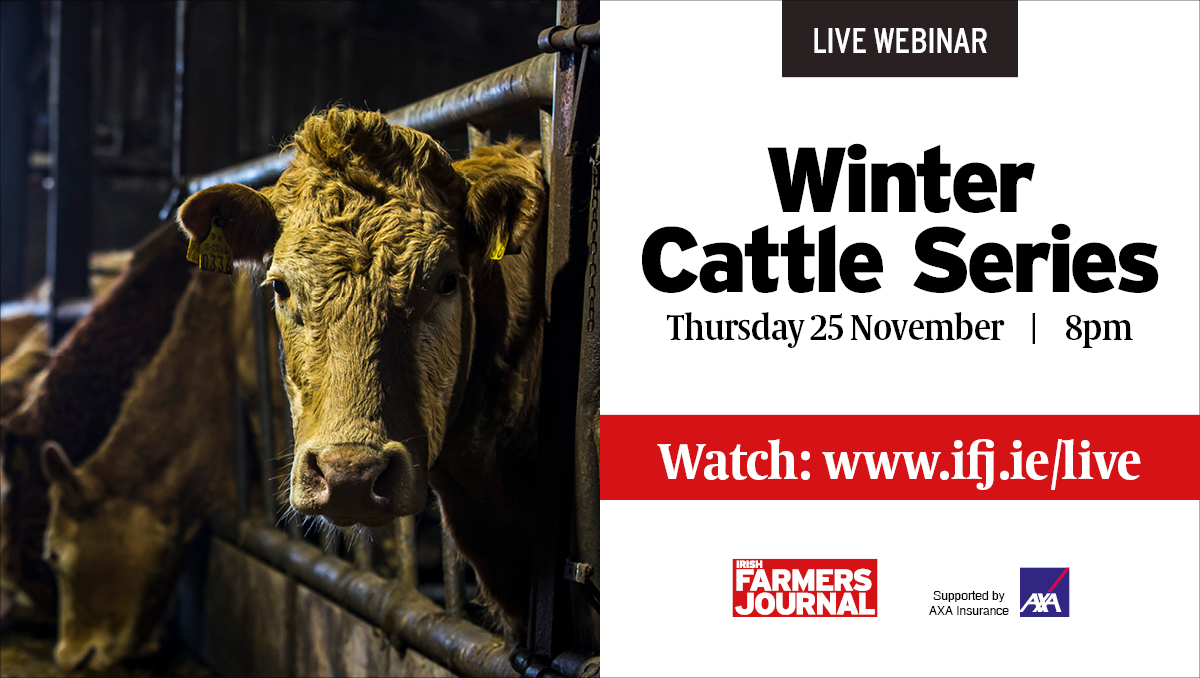 The <a href="/FarmersJournal/">Irish Farmers Journal</a>, supported by <a href="/AXA_Ireland/">AXA Ireland</a> Insurance are delighted to bring you the first instalment of our Winter Cattle Series live tonight from 8pm on farmersjournal.ie . 
If you have any questions send them to webinar@farmersjournal.ie or 086 836 6465.