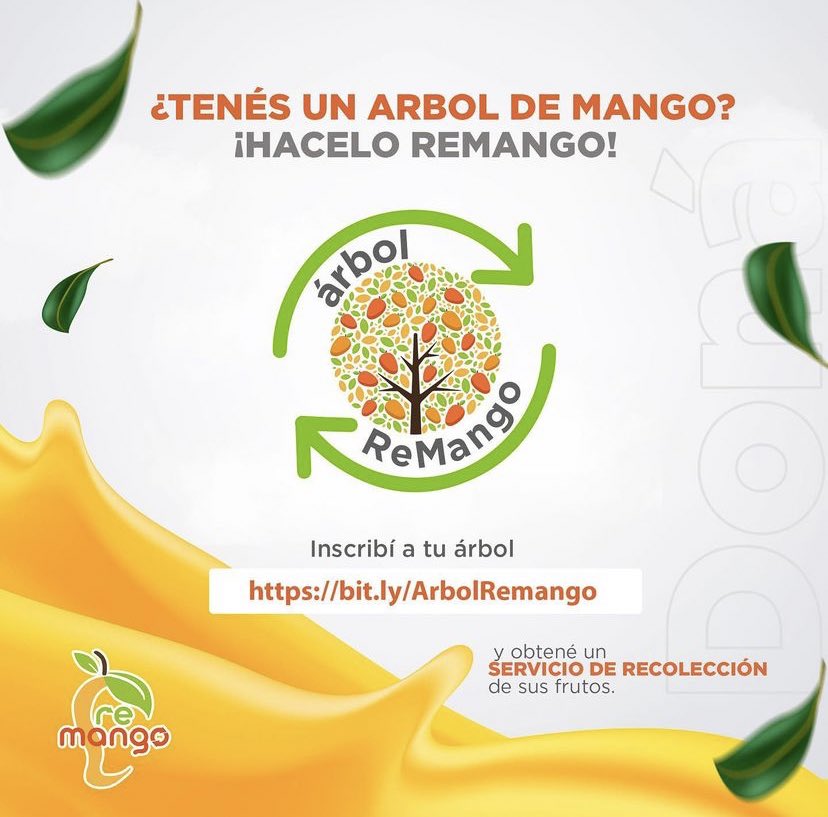 belumarinv's tweet photo. No sabes qué hacer con todo el mango que cae en tu casa o frente a tu casa? Hacelo #ReMango! Podes inscribir a tu arbol de mango acá, los Remangos van a buscar los frutos para darle nueva vida ♻️😍🥭 https://t.co/5EgYt6OuCo https://t.co/jqJxzJhxj5