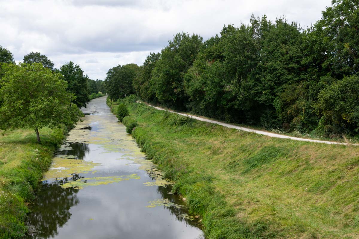 voyagerenphotos's tweet photo. [Nouvel Article] 2 jours sur la Loire à Vélo de Nevers à Gien

Cet été je suis partie 2 jours en train avec mon vélo pour réaliser les 150 premiers kilomètres de la Loire à Vélo. Je partage mon retour et mes conseils sur le blog !

https://t.co/AasvXviypx https://t.co/nds41OXOsL