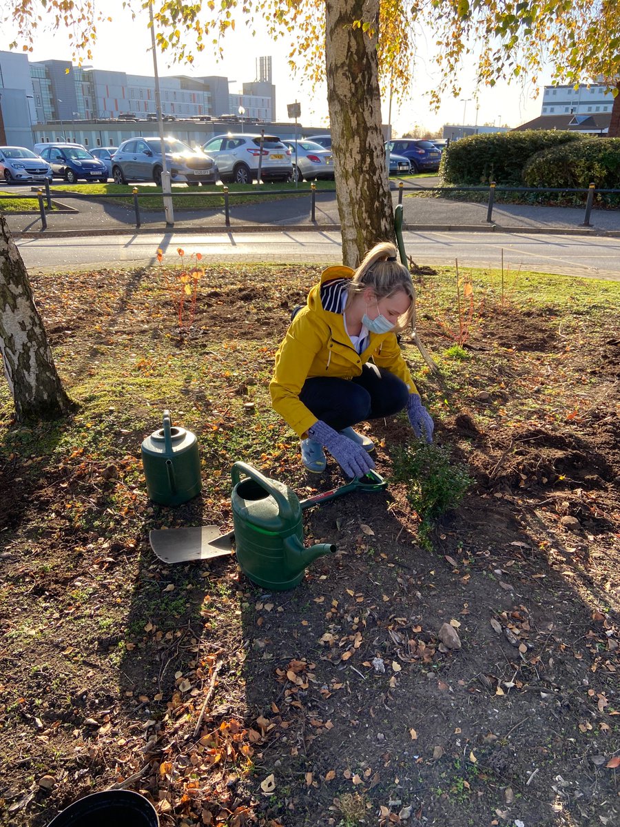 TheLiveTeam_'s tweet photo. First planting done for the turning circle at Millbrook @MhuMillbrook! We can’t wait to do the next planting next year! https://t.co/UZU9PHD6XG