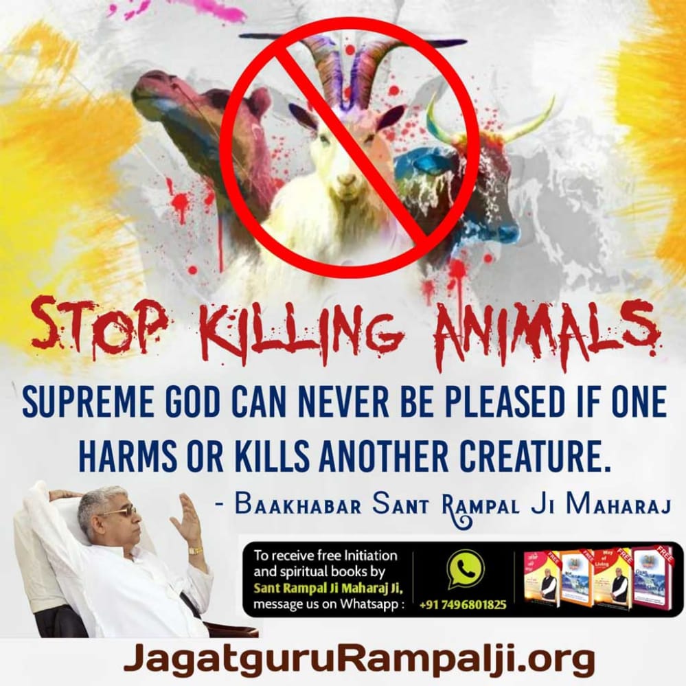 #MeatEatersViolate_LawOfGod

माँस नहीं खाना श्रेष्ठ है, शराब नहीं पीना अच्छा है और कुछ भी ऐसा नहीं करना उत्तम है जो तेरे भाई को पाप में ढकेलता हो।

More information for 👉 Visit Saint Rampalji Maharaj You Tube channel ...
