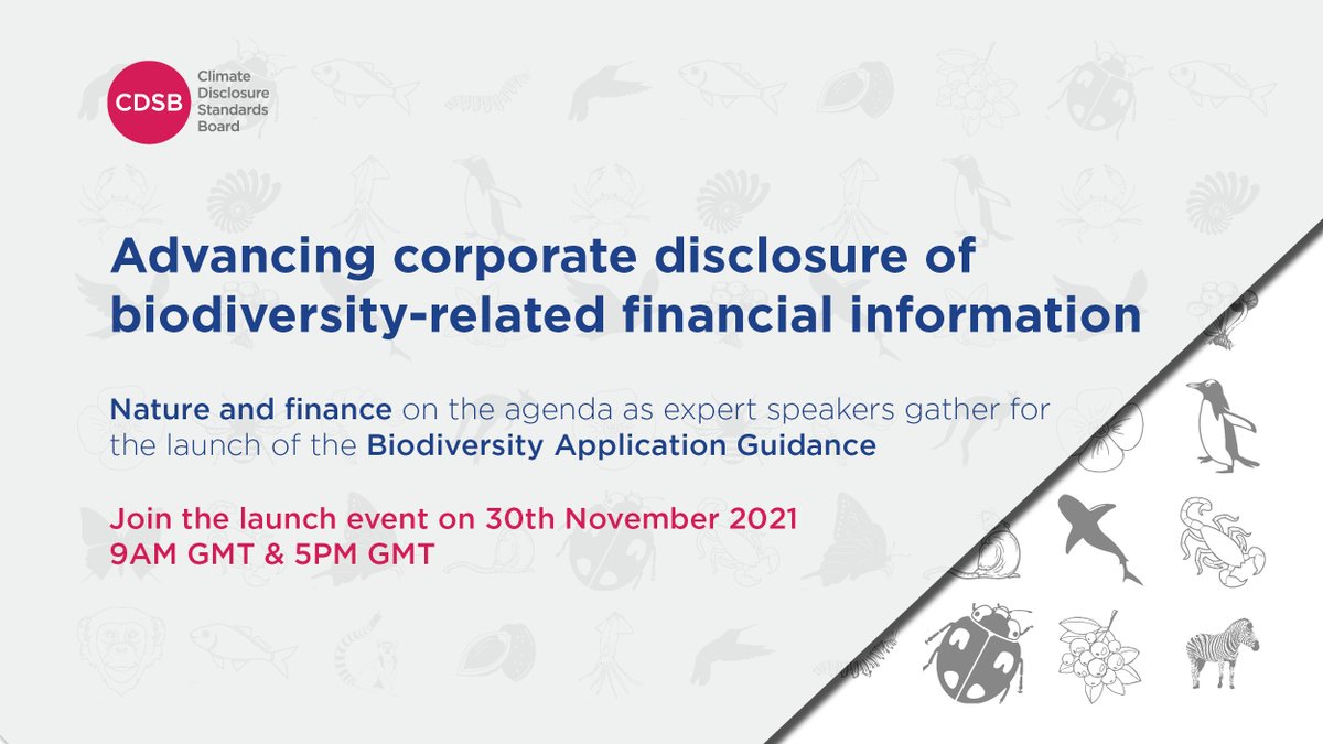CDSBglobal's tweet photo. How does #biodiversity impact your business? We are launching a reporting guide for companies on 30 November. Join us and expert speakers to learn what risks, opportunities, impacts and dependencies are linked to biodiversity. 
Register here: https://t.co/nMd5tkMtjU
#NatCapAction https://t.co/mtmVIJgBAI