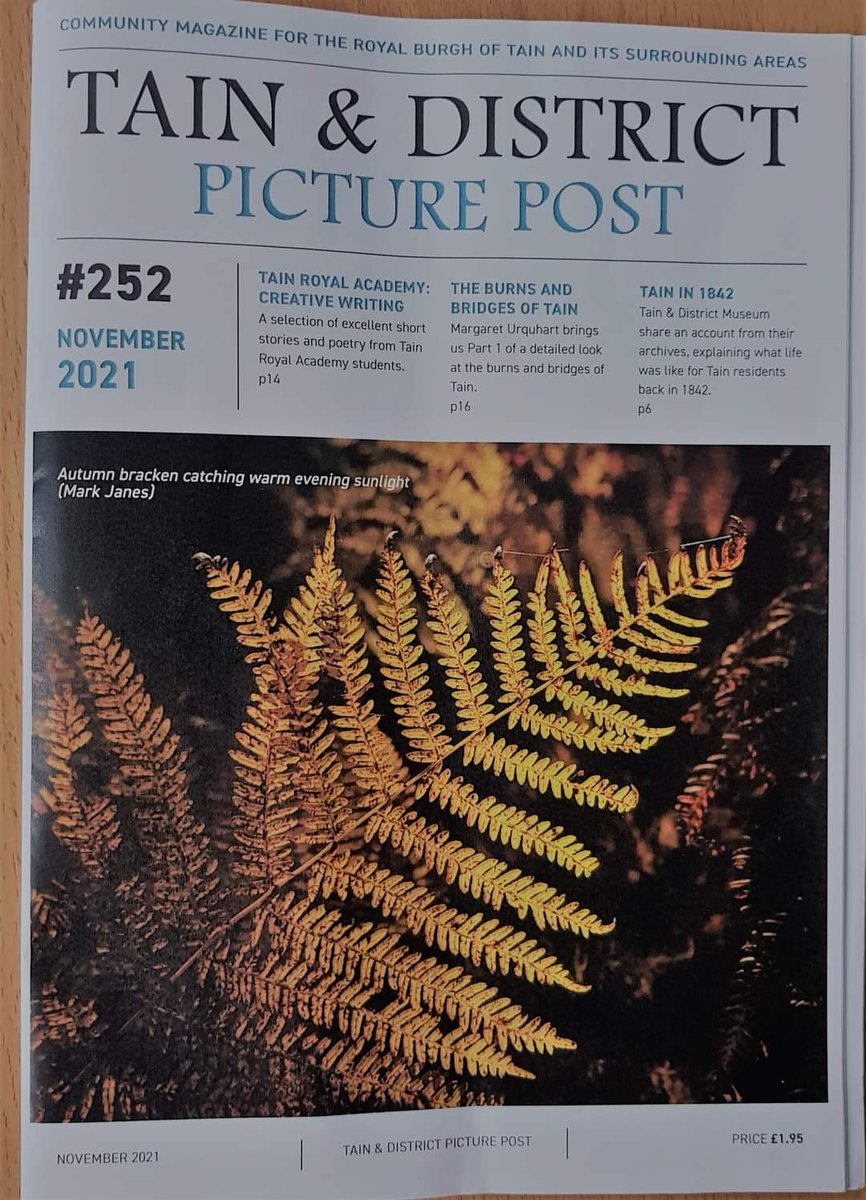We are delighted that five pieces of pupils’ creative writing have been published in this month’s Tain and District Picture Post. Buy a copy to see just how talented our pupils are, while supporting local business at the same time!🖊
