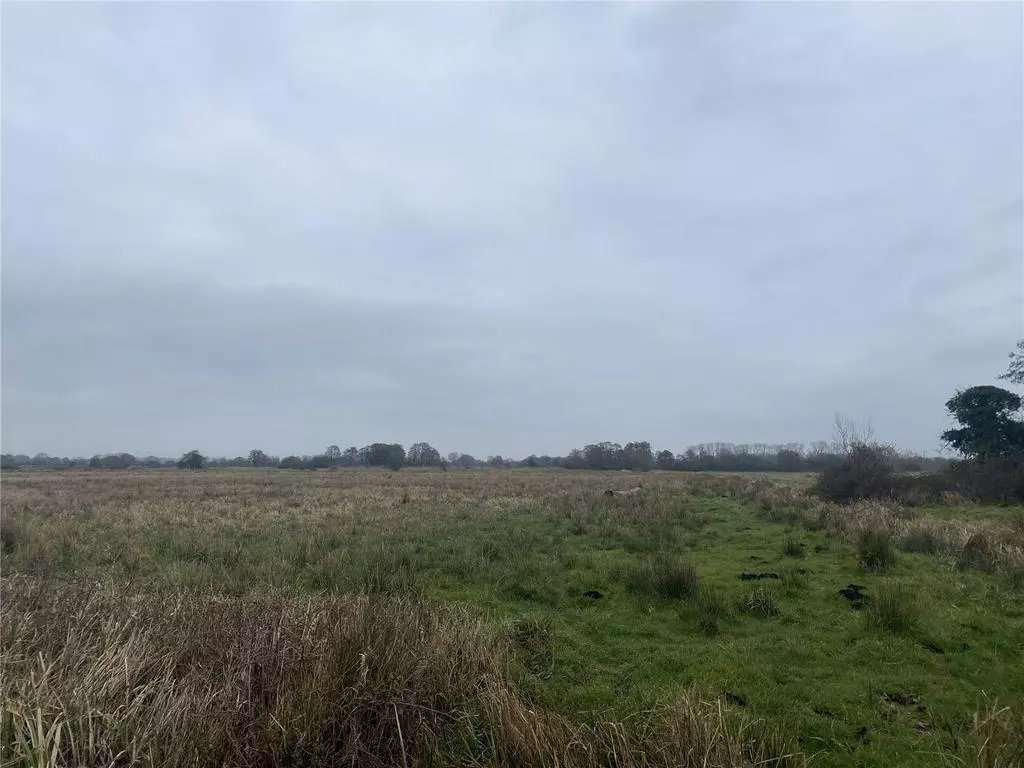 hilltopgina's tweet photo. Sadly we lost the bid on the land today as it went for £46,250 

So we go for the next one &amp; tbh this one came onto the market just a week ago &amp; is in a more biodiversity starved area. 

Onwards we go 🙏 🌍🐝🦋🦎🪱🐞 https://t.co/twDhsV0FWx