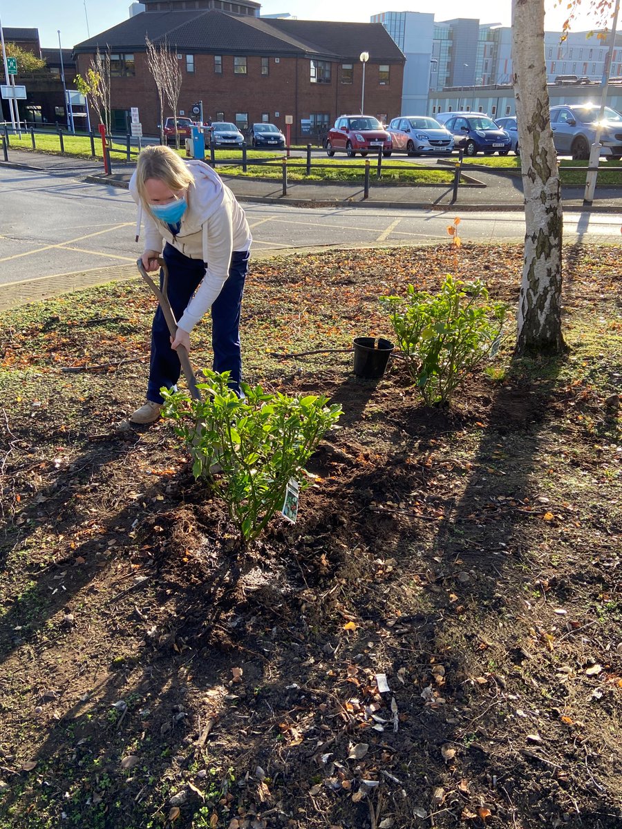 TheLiveTeam_'s tweet photo. First planting done for the turning circle at Millbrook @MhuMillbrook! We can’t wait to do the next planting next year! https://t.co/UZU9PHD6XG