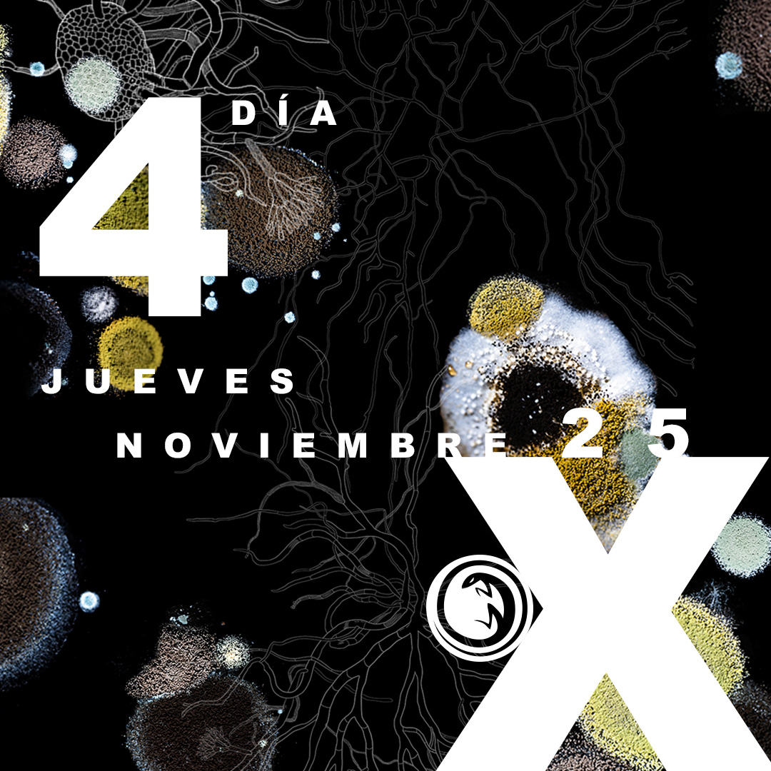 TeatroRendija's tweet photo. X° Festival de Teatro de la Rendija. Iberoamérica en Escena | Sigue el festival en redes sociales, escríbenos para conocer la programación y adquirir pases #AsómatePorLaRendija @SistemaCreacion @Iberescena @redelae13 https://t.co/UTzk58gPhC