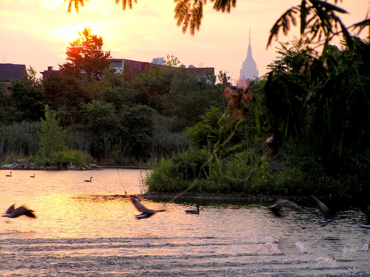 Reservoir No. 3 tweet media