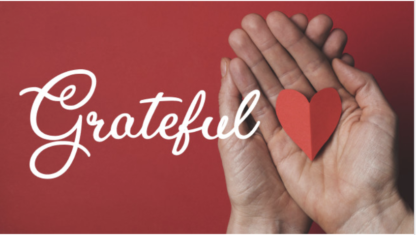 Alignable's tweet photo. ❤️ Happy Thanksgiving from the whole team at Alignable! ❤️ We're so grateful that you're part of this community, &amp; we hope you enjoy this special day with the people you love most. 🦃 🥧 #onemainstreet #smallbusinessstrong https://t.co/Izse2gIVDT