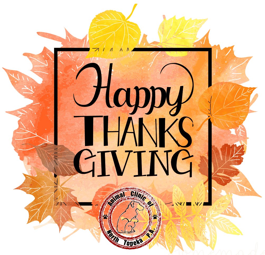 AnimalClinicTopeka (@topeka_ac) on Twitter photo 