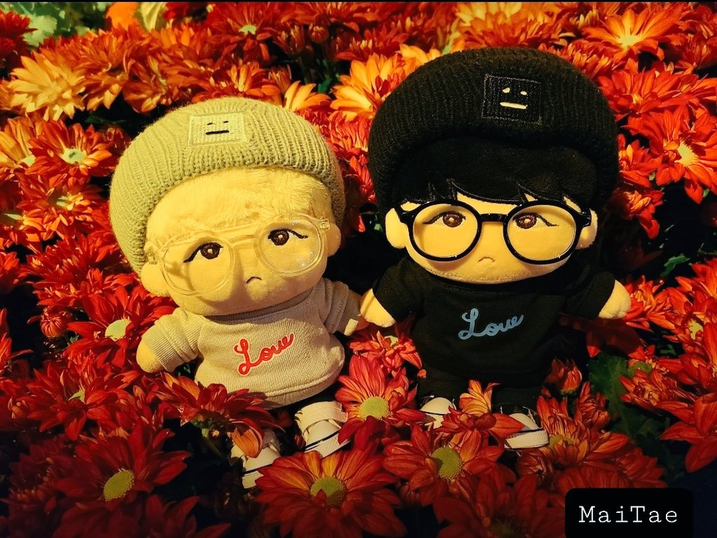 MaiTae11's tweet photo. Happy Thanksgiving Everyone! Safe Travels ✈ 

Clothes and Acne Studios beanie by @SseuniDay

#MaiTaeCollection #bts #btsdoll #kpopdoll #btsdollclothes #bts #honeysyubee #yoongi #BTSSUGA https://t.co/N98vRfCuQe