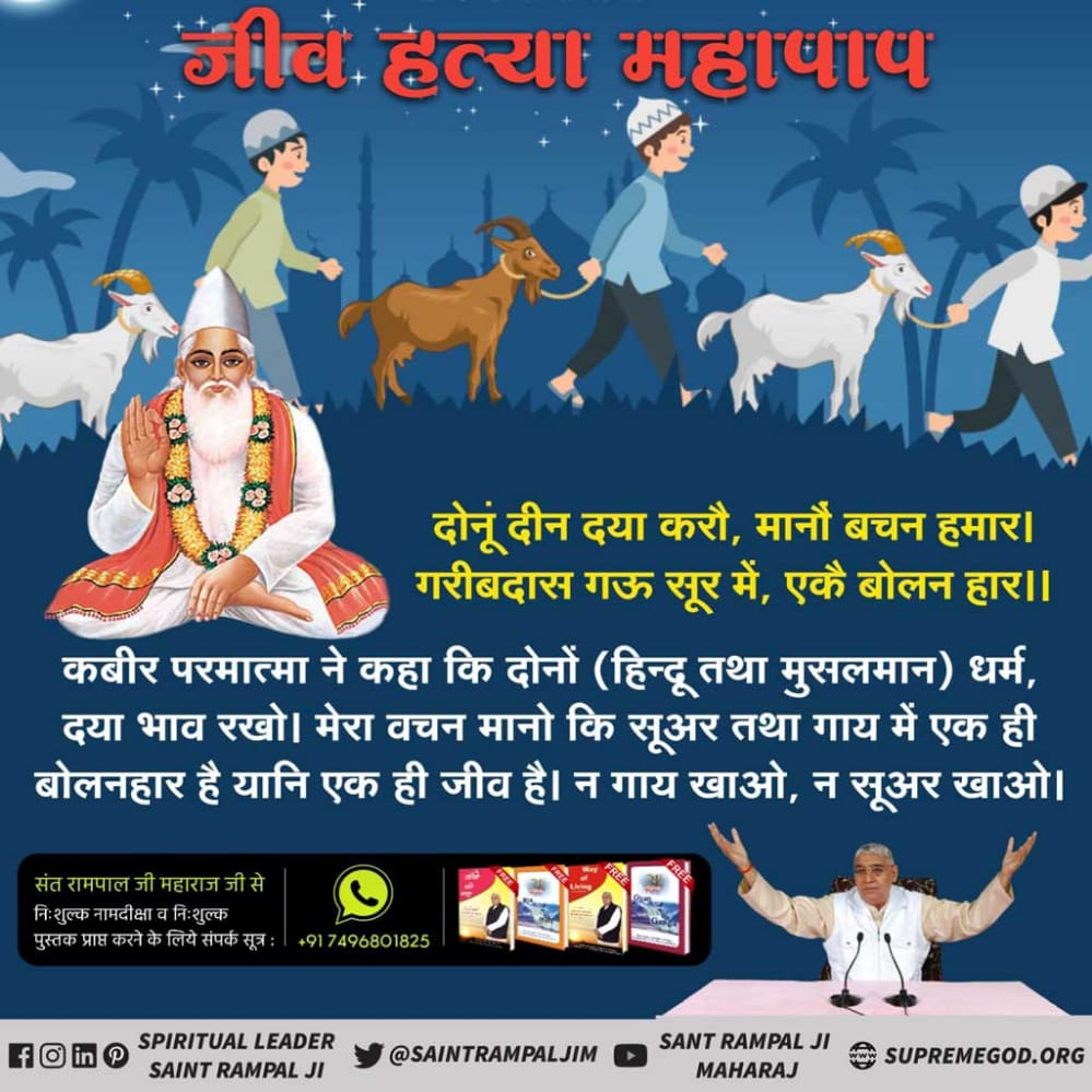 #MeatEatersViolate_LawOfGod 
मांस खाना महापाप
मांस खाने का आदेश दयालु परमात्मा का नहीं है परमात्मा ने हम मनुष्यों के खाने के लिए फलदार वृक्ष तथा बीजदार पौधे दिए हैं
मांस खाने का आदेश नहीं दिया
संत रामपाल जी महाराज ।