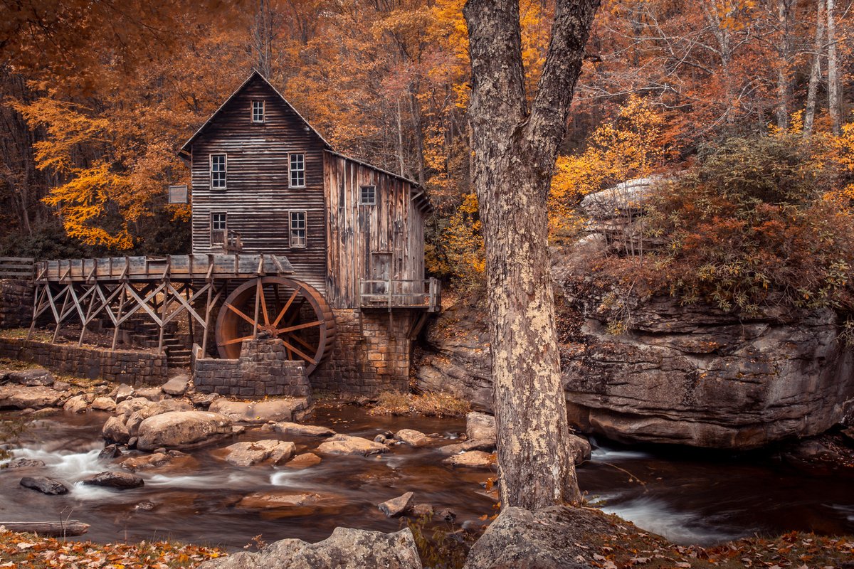 wvdevo's tweet photo. Happy Thanksgiving from #WVDevo! We're thankful to call West Virginia home and provide services that drive our state's economy. #YesWV https://t.co/Oa29nthgti