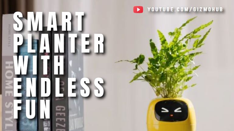 HubGizmo's tweet photo. IVY : THE SMART PLANTER WITH ENDLESS FUN | #Indiegogo | #GizmoHub
➤ Watch Video (Campaign Link in the Video Description) - https://t.co/8DLUCGg7Vy
#ivyplanter #ivysmartplanter #smartplanter #planter #indoorplant #indoorgardening #indoorplants #crowdfunding #gadgets #homeplants https://t.co/BmGpuV5hlZ