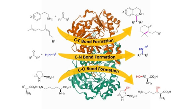 ChemBioChem tweet media