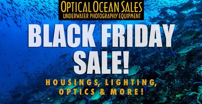 OpticalOcean's tweet image. 🔥 Black Friday Sale on Underwater Photo Gear 💦 - mailchi.mp/opticaloceansa… Save 20% on most Kraken products &amp;amp; Big Blue lights. Selected Sea &amp;amp; Sea MDX Housings, Ikelite on Sale!
