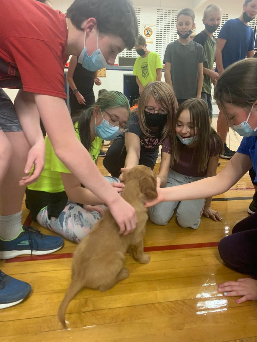 PUPPIES!!! 
Thank you Kendra Siemens for bringing Rudy, Sadie and Orla in for a visit with the staff and students. As you can see, there was no lack of love and cuddles for them all! ❤️