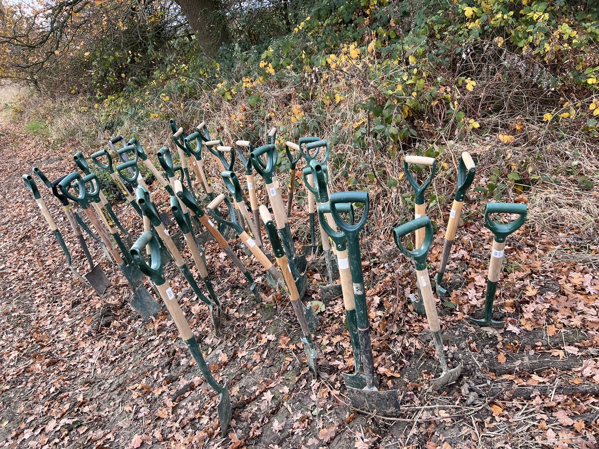 sonnysegal's tweet photo. Glad to be participating in helping planting trees with #thewoodlandtrust and team #transputec https://t.co/vS7hNJoVj0