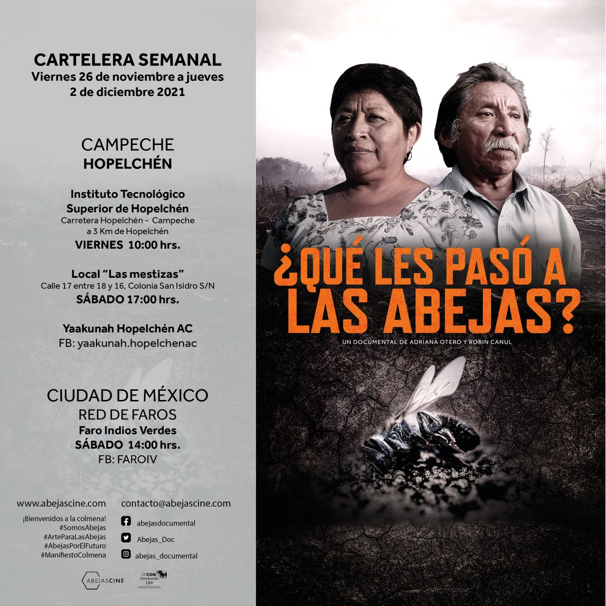 Abejas_Doc's tweet photo. Estas son las próximas funciones de ¿Qué les pasó a las abejas? 👉en Hopelchén, Campeche, gracias a Yaakunah Hopelchén AC y #ProyectaMx,  en #CDMX en @FaroIndiosVerde y en Morelia con @Ambulante #SomosAbejas #AbejasCine  https://t.co/TlhU5hipG6 https://t.co/CSELpXuQGS