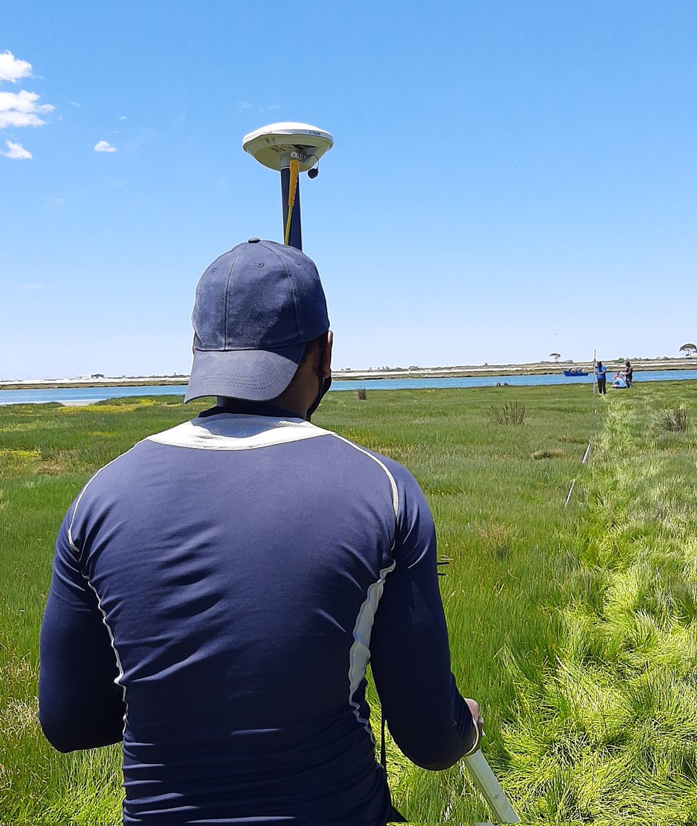 Determining marsh elevation along the transect line #geoschool2021 #train_me #teamsa #youngscientists #bergriverestuary #environmentaleducation #diatom #diatoms #microalgae #biology #micropalaeontology #foraminifera #forams #palaeosealevel #saltmarshes #benthic #palaeosealevel