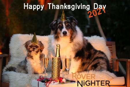 Rovernighter tweet media