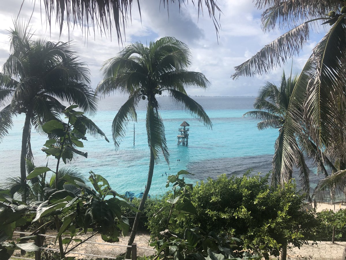 De retour d’une fabuleuse semaine à parcourir la Riviera Maya… premier voyage à l’extérieur du pays depuis la pandémie. Ça fait du bien! De plus, agréable de voyager en ce moment car moins de monde, pas de file d’attente, etc 👌🏼☀️ #mexique #voyage