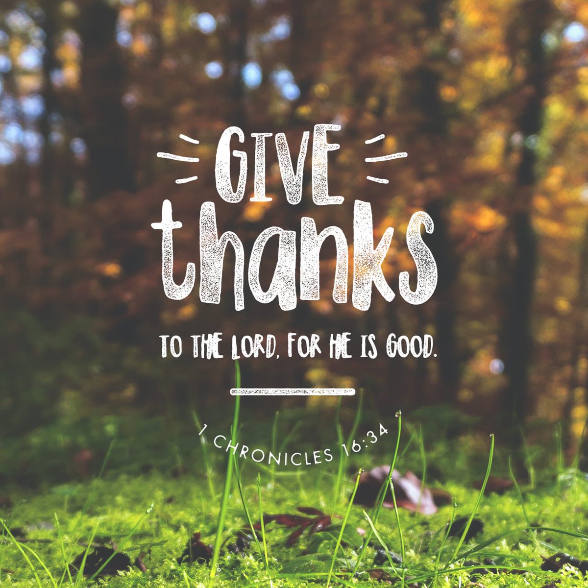 ByToyTreasures's tweet photo. “Give thanks to the Lord, for he is good; his love endures forever.”
1 Chronicles 16:34 NIV
https://t.co/kyJlPWB259 #thanks #Thanksgiving #Lord https://t.co/kyJlPWB259 https://t.co/lG9WVu0Cj3
