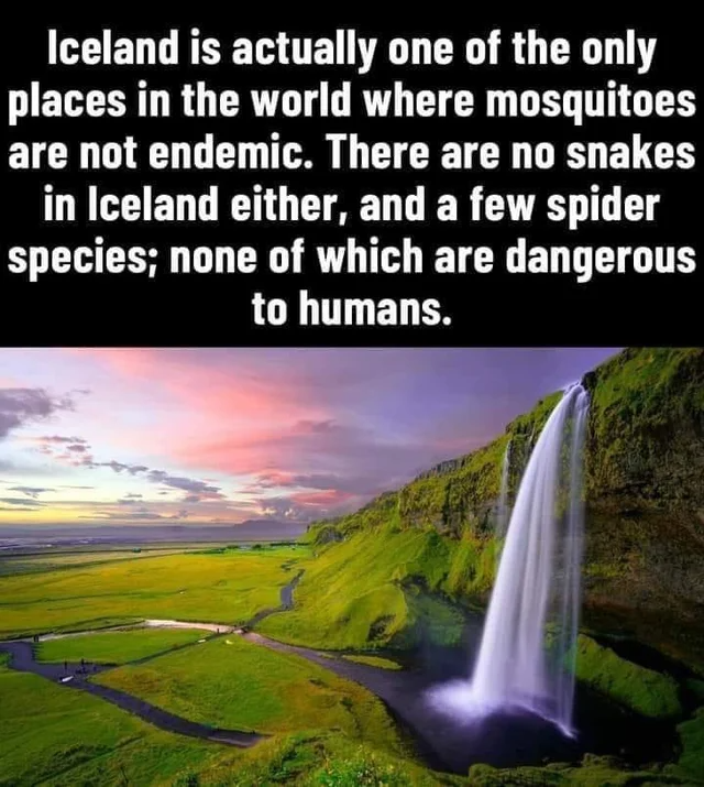 CampingEdition's tweet photo. Iceland is safe.
#save #savetheplanet #savethedate #saveanimals #savetheocean #saveirog5 #saveirorebaixada #saveearth #campervan #outdoors #campingcollective #overlandlife #instacamping #camping_hobby https://t.co/2LGFfMa0Y8