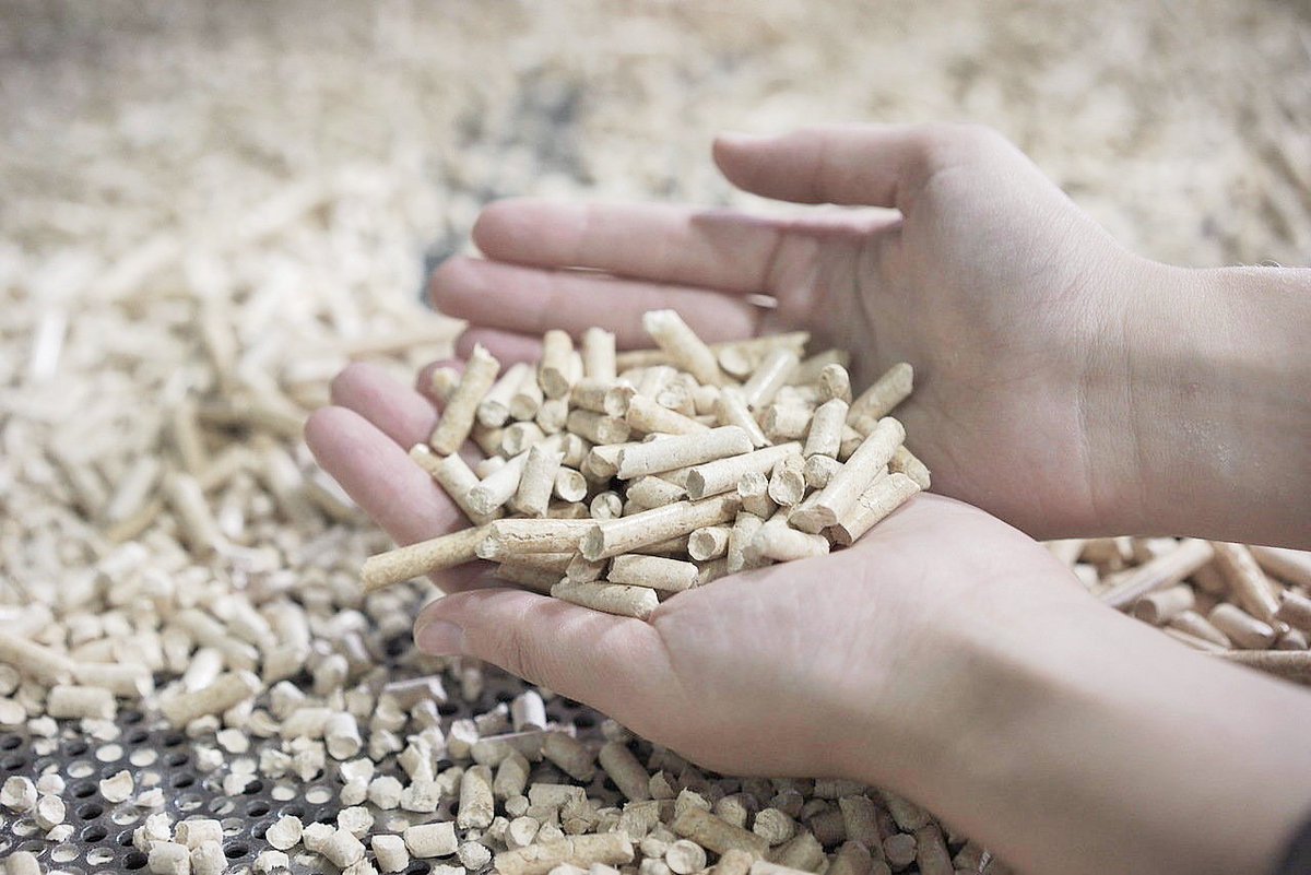 Lesosibirsk Sawmills and Woodworking Plant (#SegezhaGroup) signed a contract with AS Hekotek, #Estonia, for supplying equipment for its pellet production facility. The launch is planned for Q2 2023. Investments reach 10.1 million euros. The production capacity is 100k tonnes.