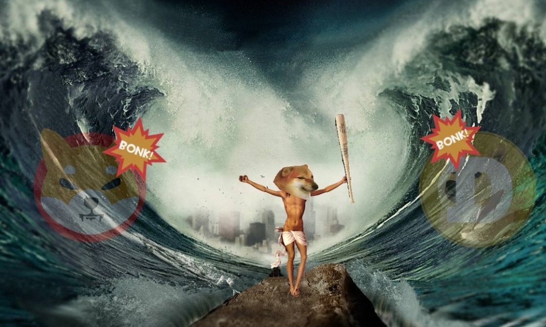 Bort_here's tweet photo. This #altcoinseason the old batch of memecoins will slip away. New investors won't interested in memecoins with colossal market caps and no actual memes. The shitcoin market cap is gunna be slurped up by #dogebonk and it's gunna be WILD.

#BSCGems #bonksquad #SHIB #dogecoin https://t.co/H2BrshS1BK