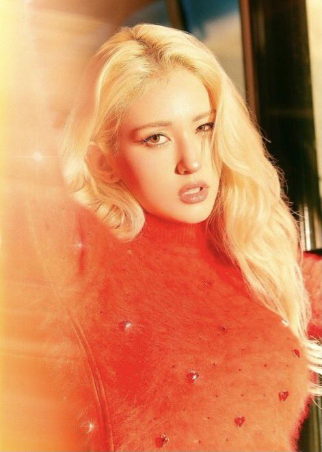 adek cici, omey. tweet media