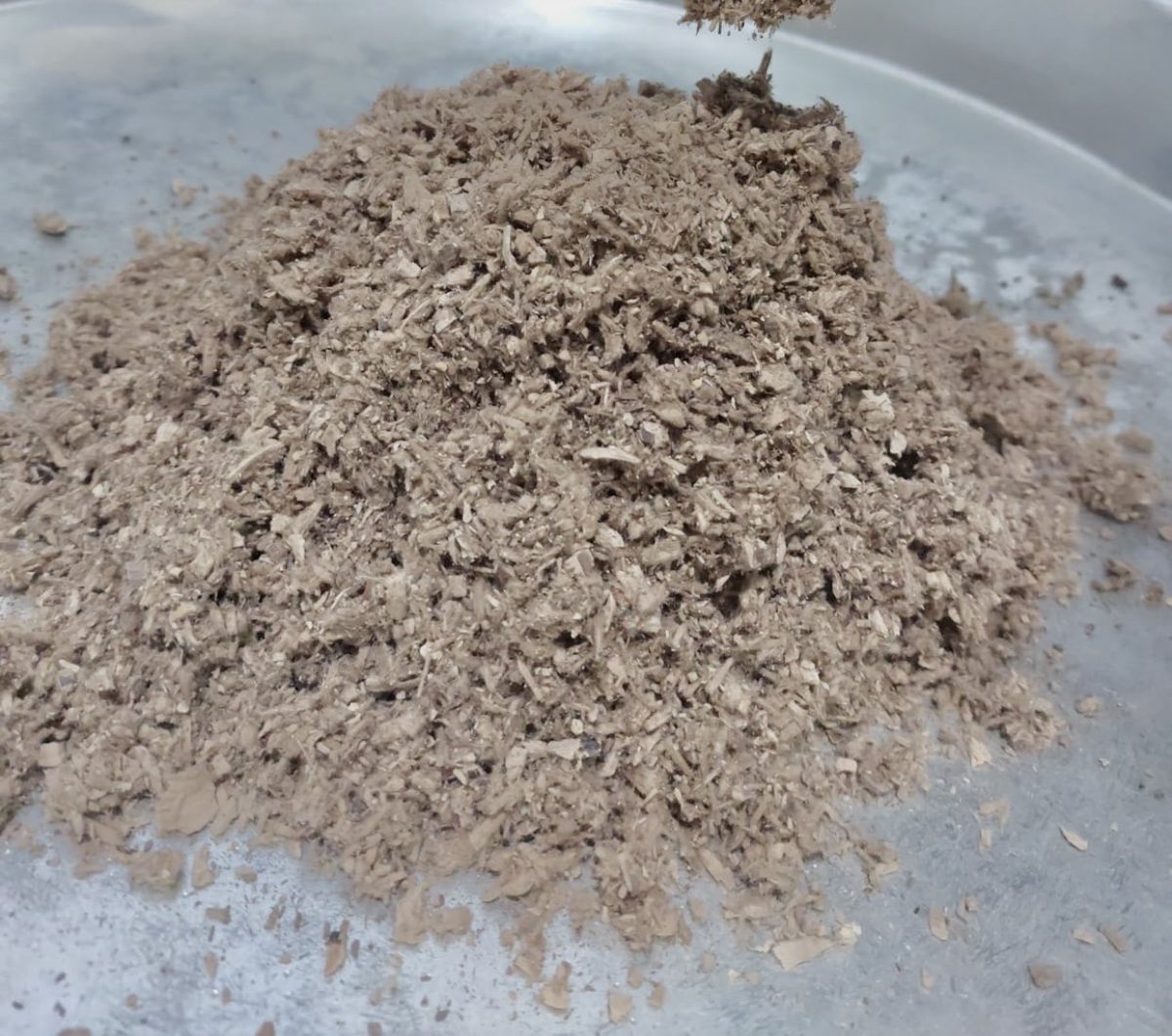 Ersagbkr's tweet photo. Reishi mantarı. Denizli’de yetişiyor ve biz onun ekstraktını alarak yurtdışı temininden kurtulacağız. Şimdi analiz aşamasında https://t.co/U7vPuP7EP3