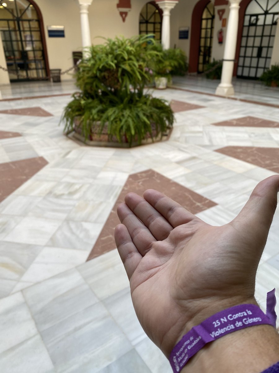 En la <a href="/eoialcala/">EOI AlcaládeGuadaíra</a> hoy hemos conmemorado el #25N con la inauguración del Espacio Violeta Laura Luelmo en nuestra biblioteca. También hemos acudido al pleno y a la lectura del manifiesto en <a href="/aytoguadaira/">Alcalá de Guadaíra</a>. Somos aliados/as frente a la lacra de la #ViolenciaMachista. Toma nuestra mano