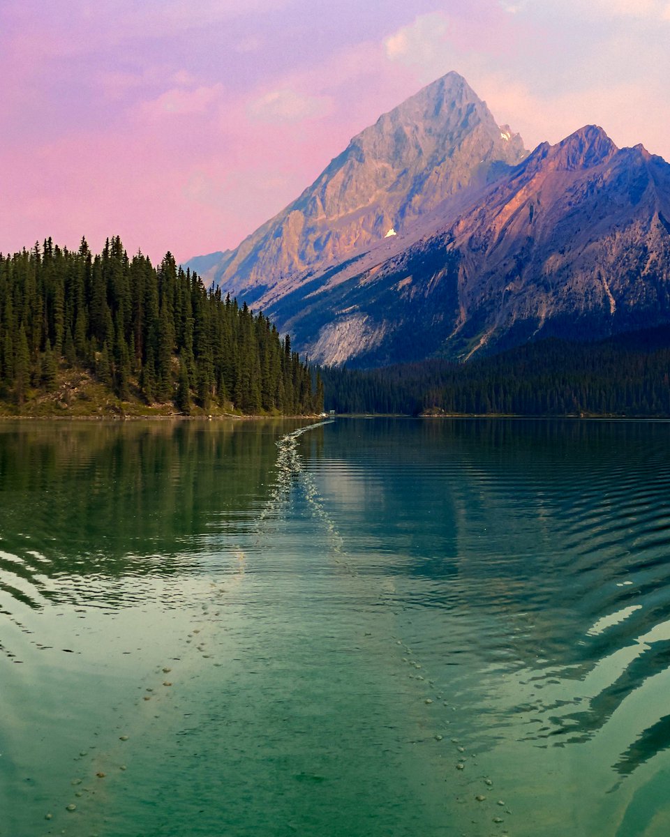 EricTAdventures's tweet photo. Maligne Lake - JNP
Full videos on YT & FB
#paddlejasper #malignelake #malignelakecanoeing #canoecamping #canoeexpedition #jaspernationalpark #paddletherockies #exploremalignelake #explorejasper https://t.co/yAgGTfd8Dx