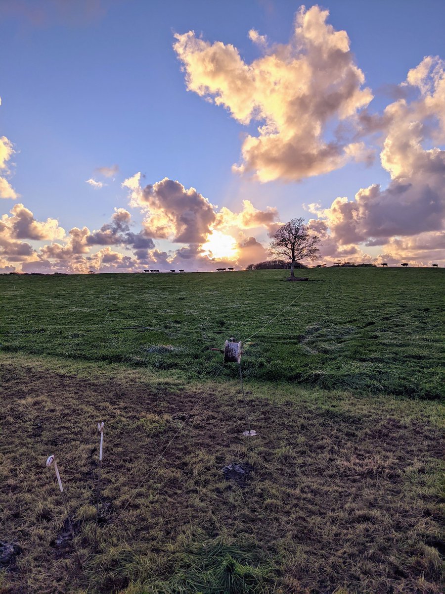 PhilHughes_'s tweet photo. Green Autumn.
#grazing #grasstomilk #autumn #dayfeeds #calvingiscoming https://t.co/ThV2YkXb4u