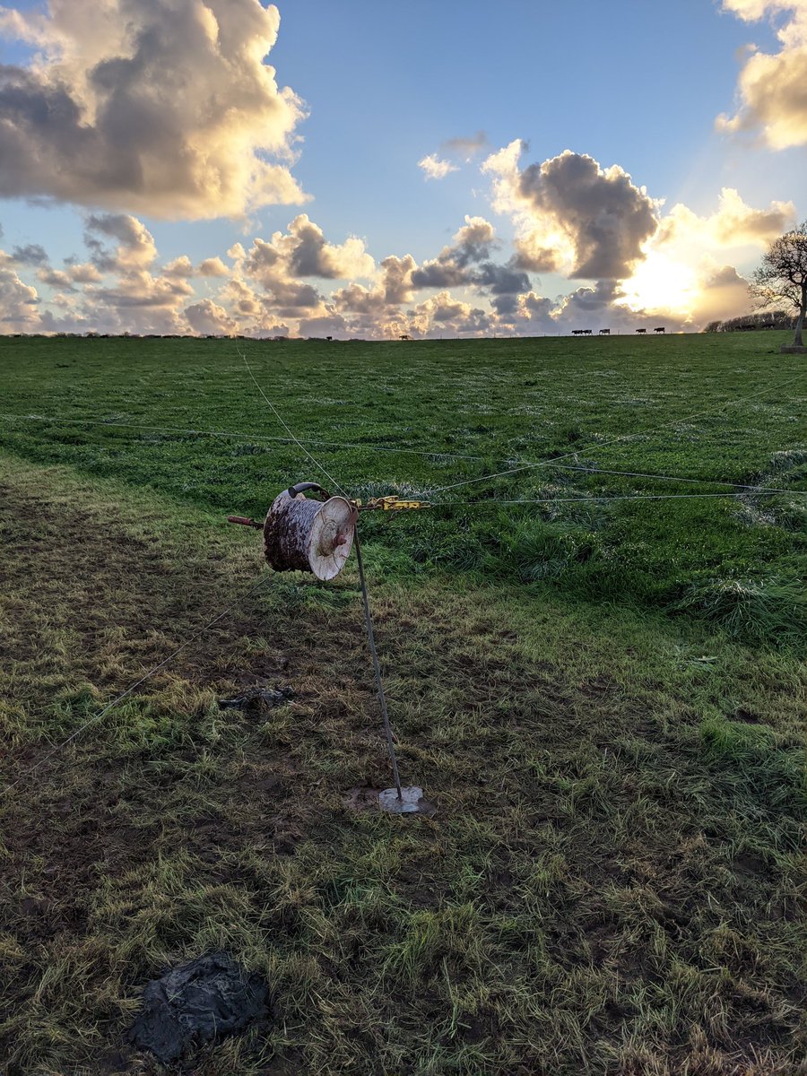 PhilHughes_'s tweet photo. Green Autumn.
#grazing #grasstomilk #autumn #dayfeeds #calvingiscoming https://t.co/ThV2YkXb4u