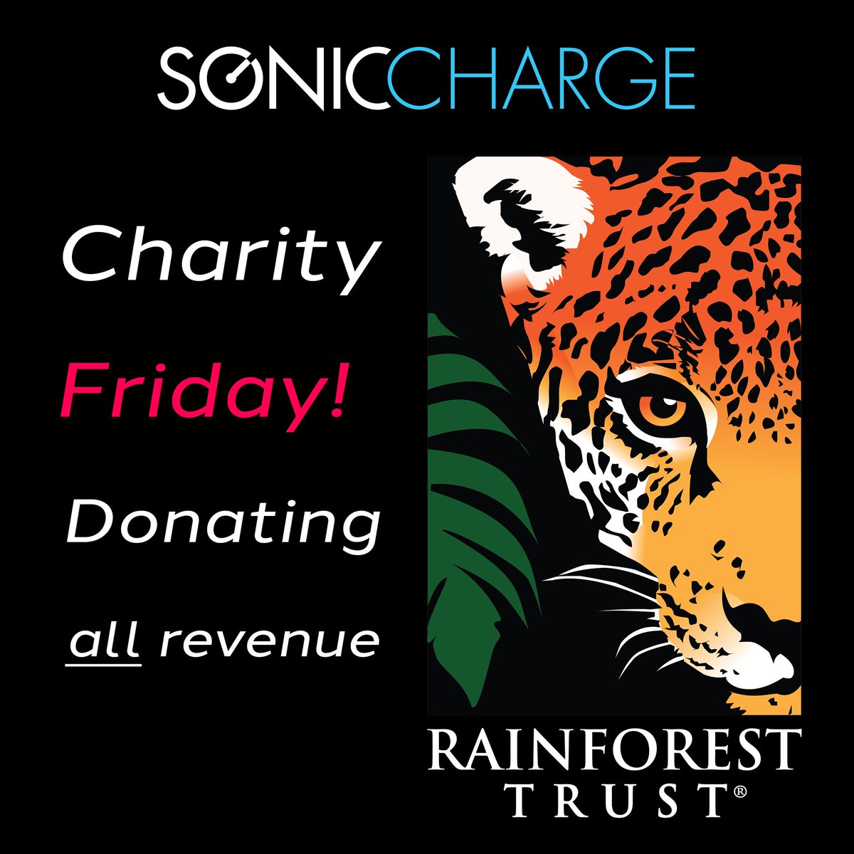 soniccharge's tweet photo. I know many of you are on the lookout for great discounts right now. We do not have them at https://t.co/CM7NZ0vV5C. Instead, we will give 100% of our revenue to @RainforestTrust to help them protect the wildlands that are imperative for wildlife and our climate. Spread the word. https://t.co/vRQKaKeFhK