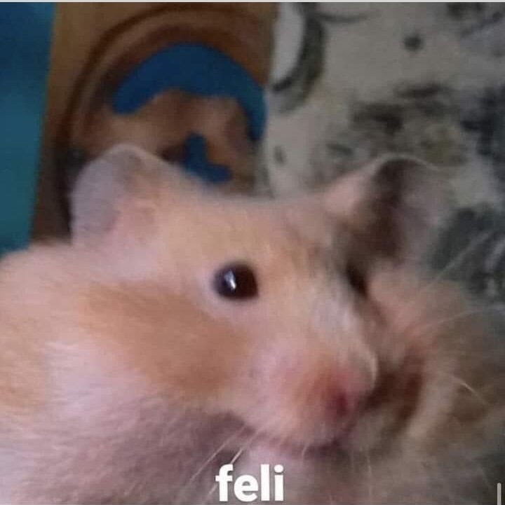 KatLvsRubplay's tweet photo. Que no panda el cúnico, hoy iniciamos nuevo Au https://t.co/garyljIgjI