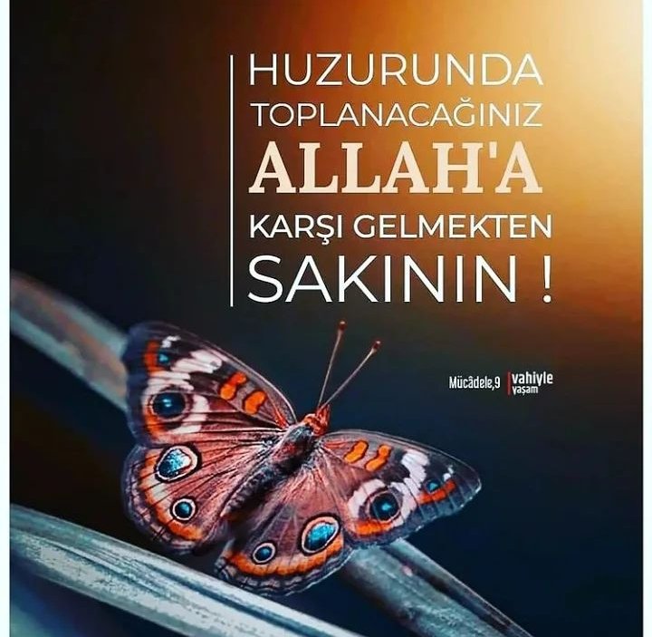 @mizci65 @OlcayKilavuz @M_Drk_21 @Ertyks @Akdaylak_saliha @sa95zt @Yaarri2 @kcef79 @1453mr9 @Bir_Hanim_Aga @_seninleyizReis @Eyme__n @OrBal60 @dedesi_y @OzugurAli @Olur2525 @Gulbey48 @elifeclskn @74blgn74 @hanifegkdmr @ReisinOmeri @ayseli63640587 Çok teşekkür ederim Emeğinize sağlık 🇹🇷👏

#AyetlerleSonsuzluğaDavet