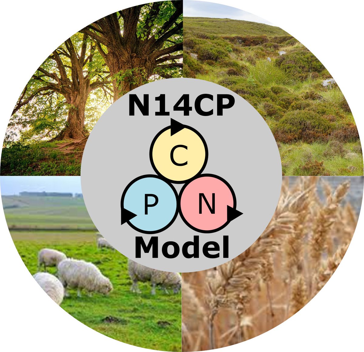 I made a little web page today: everything you wanted to know about our carbon, nitrogen &amp; phosphorus plant-soil model but were too afraid to ask! wp.lancs.ac.uk/sustainable-so… 
We will be improving it, but nice to capture the basics on a page