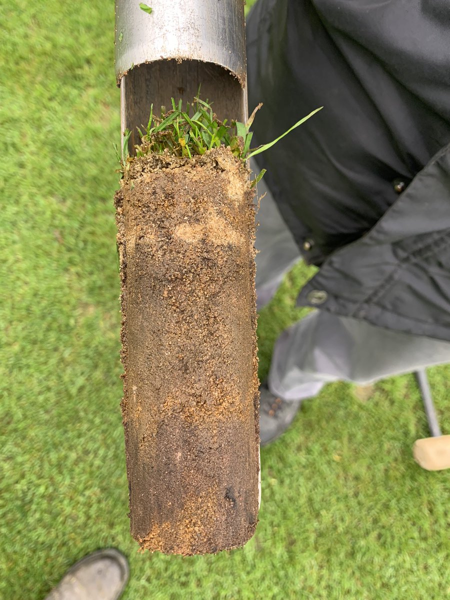 kemmo81's tweet photo. Took some plugs on the pitches, nice 150mm roots and sand working in well. @TurfCare_IRL_UK pgr & liquids doing a great job #halfrate https://t.co/wLngYUhnst