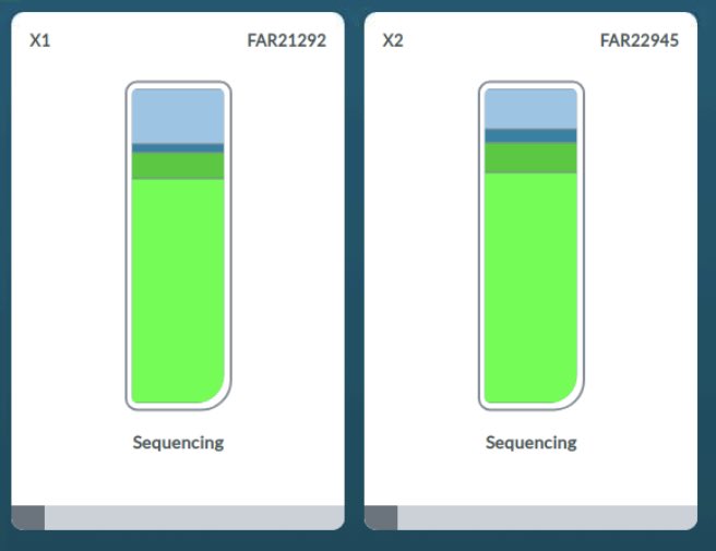 🟩🟦 Two <a href="/nanopore/">Oxford Nanopore</a> runs full of Bacterial Sequencing Fun! 🧫 Interested what these new Streptococcus genomes are going to tell us!
#sequencing <a href="/pathosense/">PathoSense</a> #science #phdlife #seaofgreen #pighealth #OneHealth