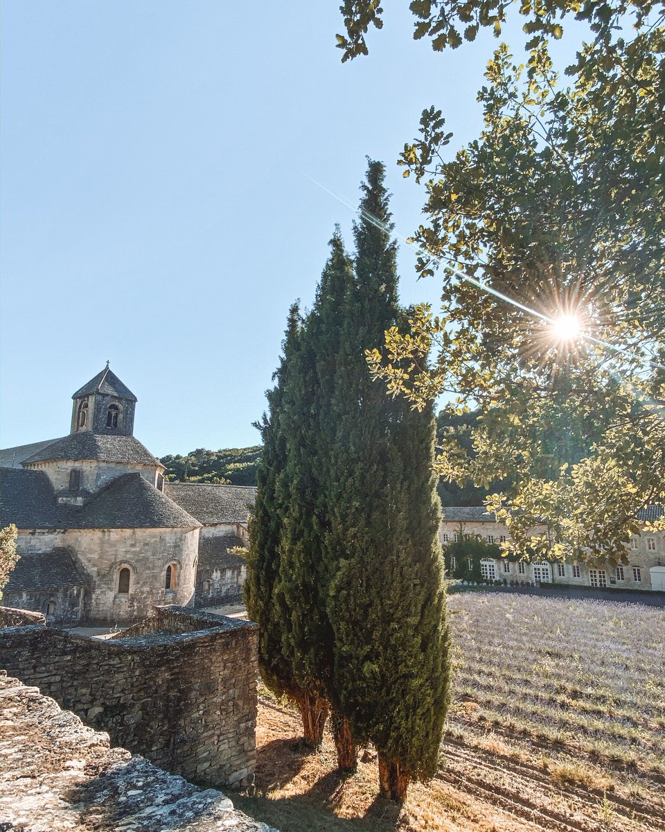 LPAvignon's tweet photo. Balade bucolique à l'abbaye de Sénanque pour un moment plein de poésie 🌾
Crédit 📸 makeatripto sur Instagram
#Gordes #abbayedesenanque https://t.co/fH4hNNCNp8