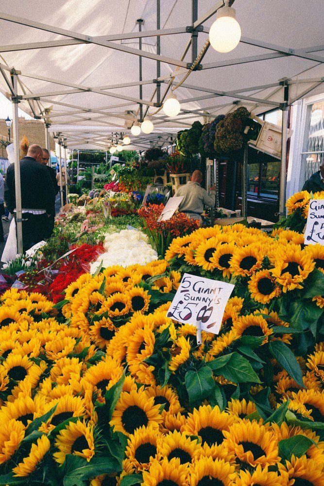 artyotnik's tweet image. Считают, что успех приходит к тем, кто рано встает… Нет. Успех приходит к тем, кто встает в хорошем настроении.